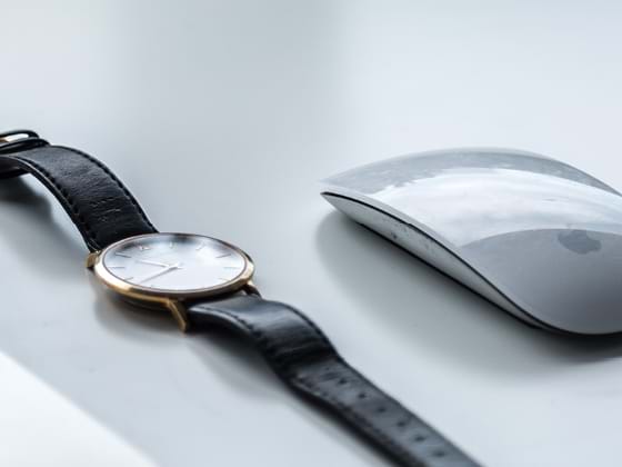 Wristwatch and computer mouse
